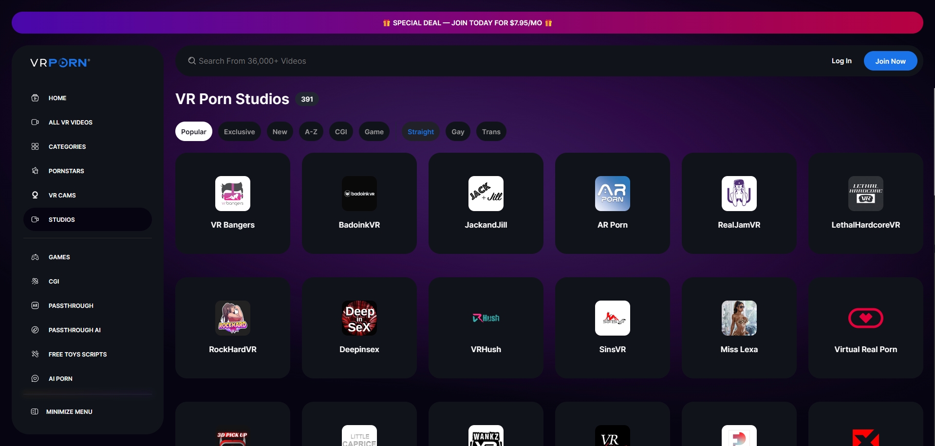 VRPorn 391 VRスタジオ